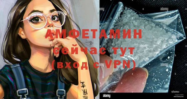 шишки Рославль
