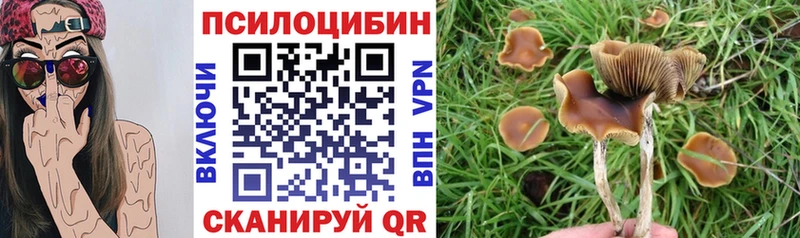 цены   Мариинский Посад  гидра ТОР  Галлюциногенные грибы Cubensis 
